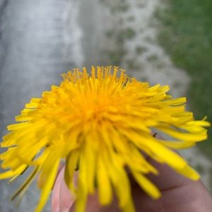 Meet your Posher, Kyra